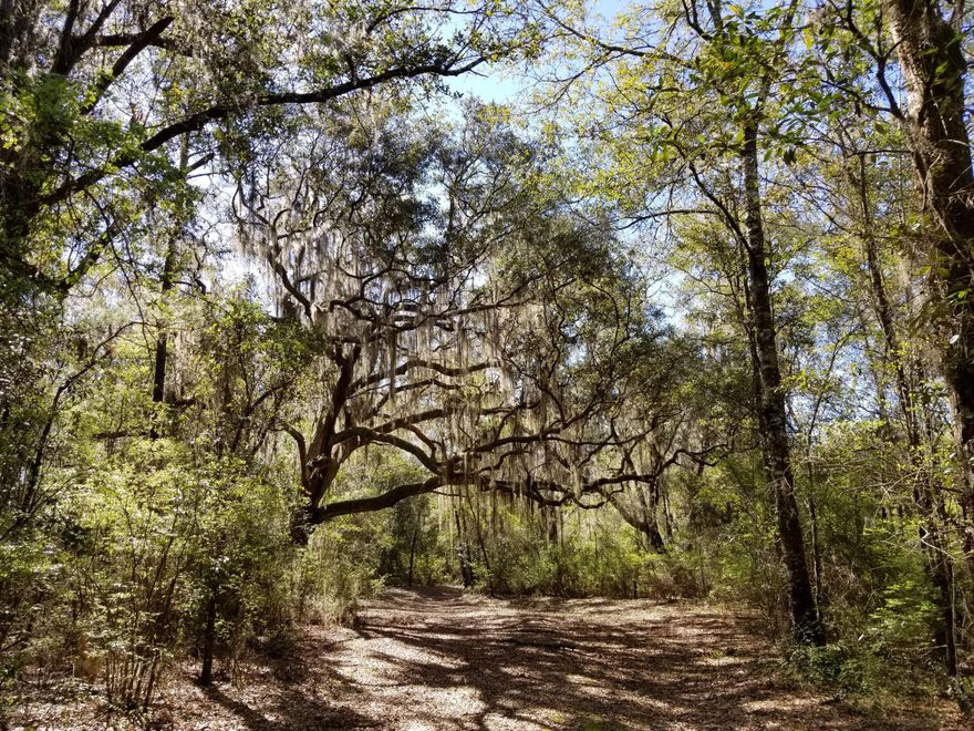 This is a beautiful waterfront, 2.5 acre homesite with lots of oak trees, 100' on Deerpoint Lake and County water available. It also would make a wonderful weekend getaway for your family and friends.