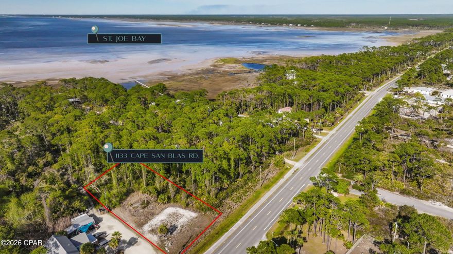 Ready to build your dream home at the beach? This 0.51-acre bayside lot on South Cape San Blas offers the perfect blend of nature, relaxation, and coastal adventure. Located 1st tier from the bay, this property offers the potential for beautiful bay views and is zoned Mixed Use, giving you flexibility for future possibilities. Surrounded by towering pines and lush native vegetation, you'll feel immersed in the natural beauty that makes Cape San Blas so unique. Best of all--there's no HOA, giving you the freedom to design the coastal escape you've always imagined. Just minutes away, Salinas Park offers kayaking, fishing, pickleball courts, playgrounds, and easy bay access. Spend your days biking scenic trails, relaxing on the pet-friendly Gulf beaches, or exploring nearby Historic Port St. Joe for dining and shopping. Whether you're a nature lover, outdoor enthusiast, or savvy investor, this homesite is your chance to become part of the laid-back Cape San Blas lifestyle.