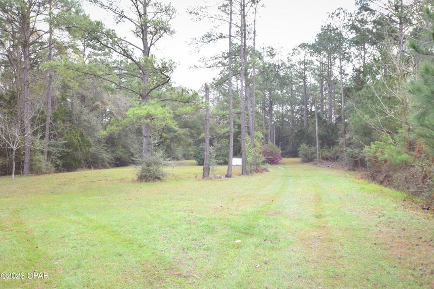 Located directly off Hwy 79 and just under 1 acre, this commercial lot has endless possibilities! Property has an average daily traffic count of 5,500 (2021 DOT Data) and features well, septic and power pole. This parcel is in close proximity to Lewis Bears Beer Distribution facility, Ebro Poker Room, Hwy 20 and approximately 20 miles from Panama City Beach.