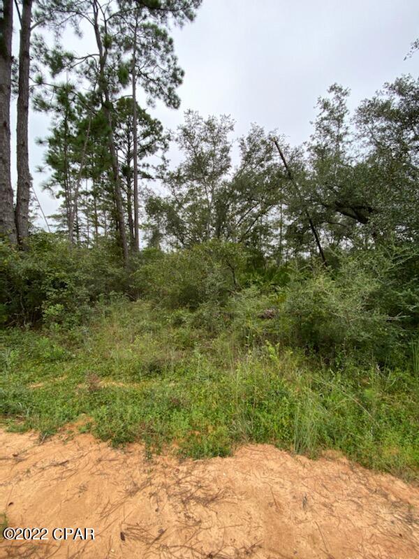 Compass Lake Hills Unit 2 - Land