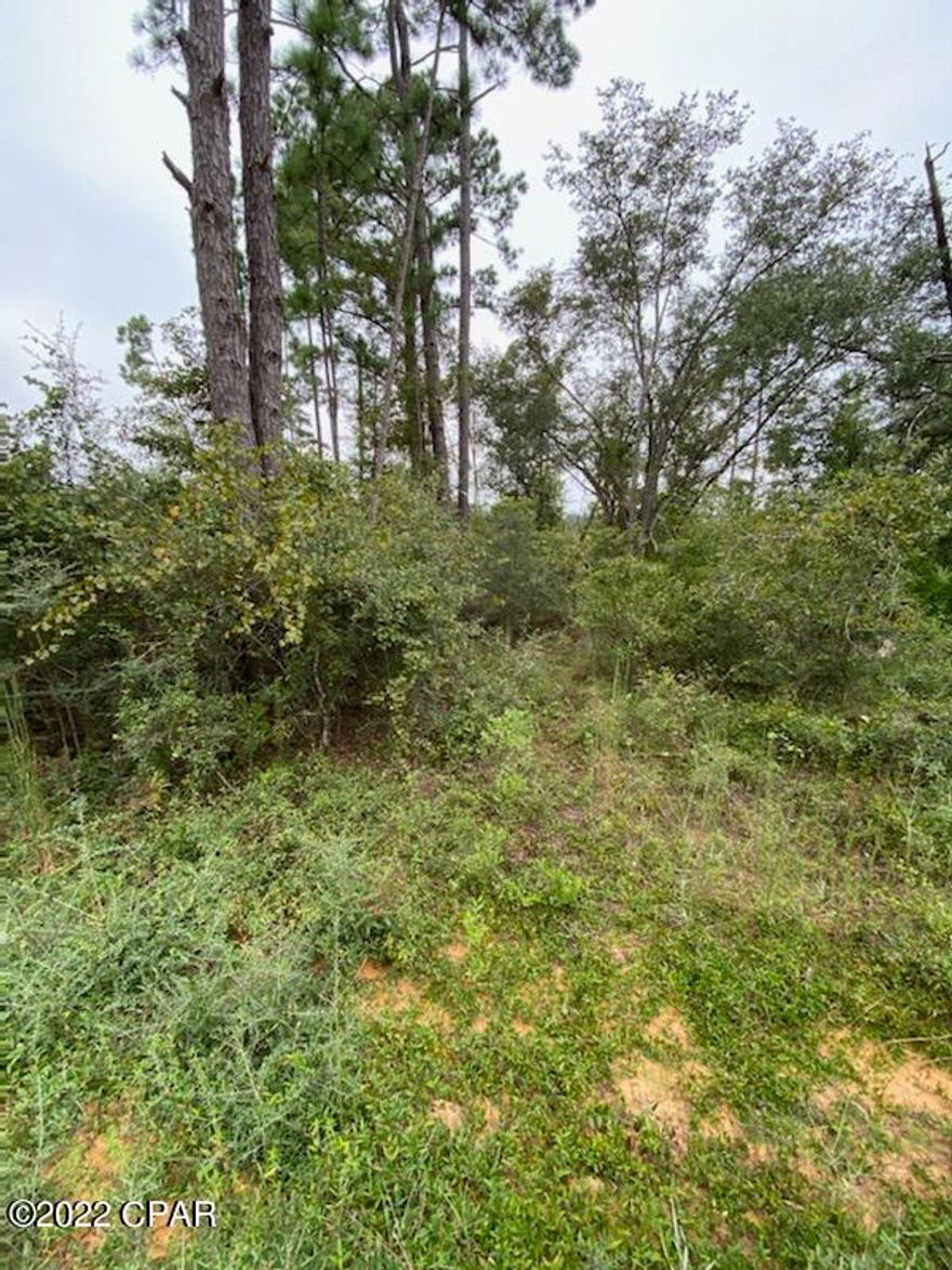 Three lots in Compass Lake in the Hills Unit 2.  Lot 22 is a buildable lot and lots 23 and 24 are designated residental marsh and cannot be built on but make good buffers.  Lots of peace and quiet and plenty of dirt roads to ride on.  Only 40 minutes to Panama City Beach or to Dothan, AL.