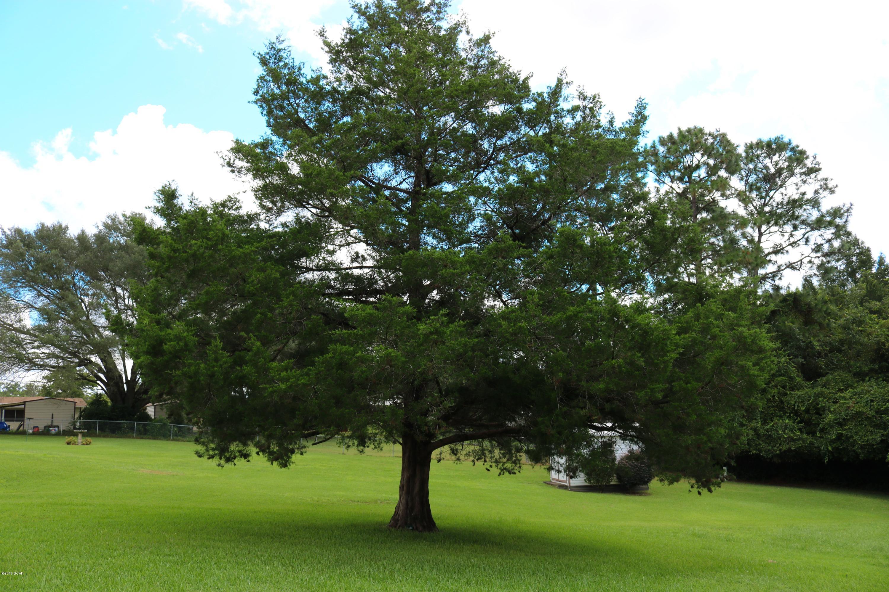 Sunny Hills Unit 4 - Residential