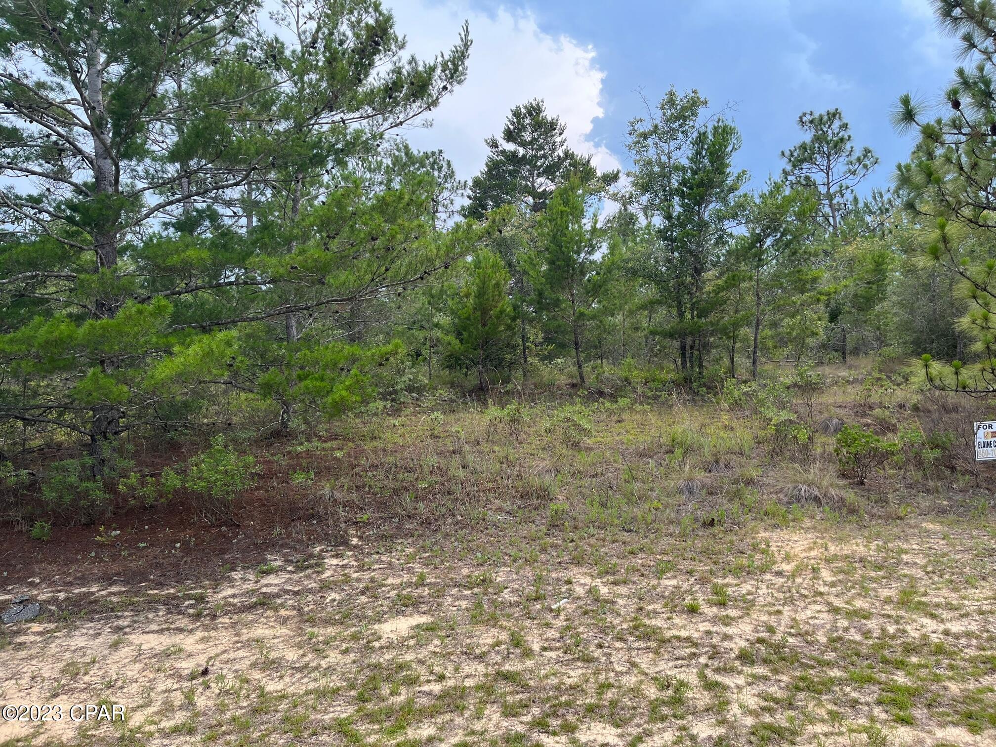 Sunny Hills Unit 19 - Land