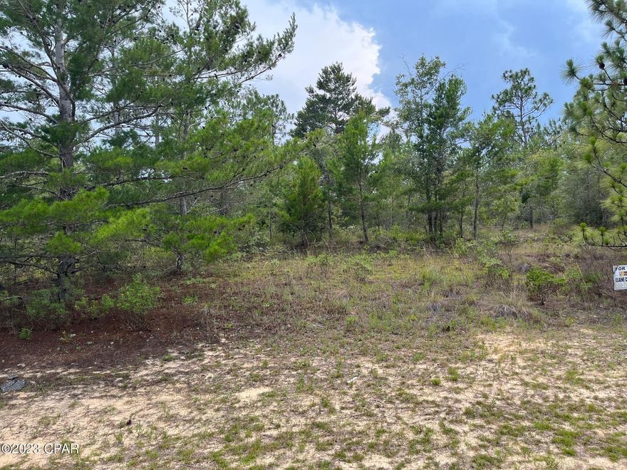 A new lot on market in Sunny Hills Subd, located between Chipley and Panama City.
DEVELOPMENT OF HOUSES HAS BEEN STARTED VERY NEAR TO THIS LOT IN THE SAME UNIT 19. Amenities include a popular golf course, beautiful lake for public swimming, many lakes for fishing in the area. These lots in subdv. are restricted to stick- built homes. No mobile homes are allowed. Please check for availability of water and power.
