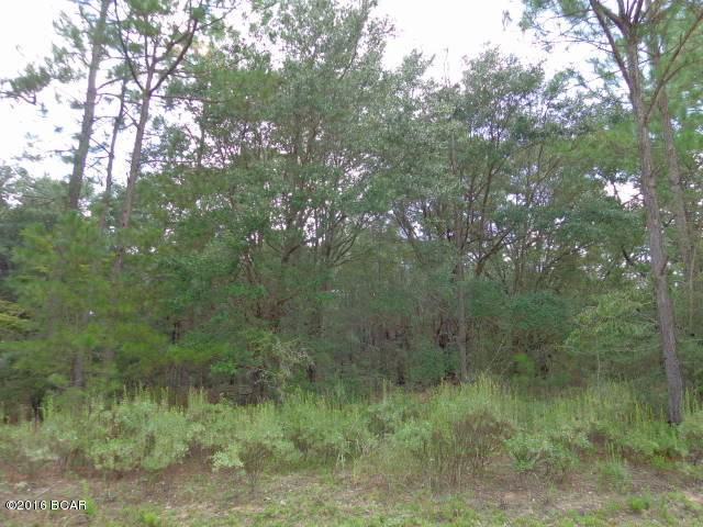 Compass Lake In The Hills - Land