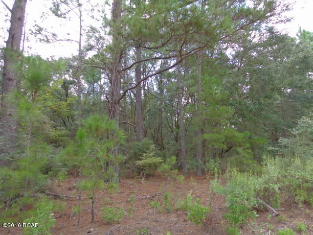Compass Lake In The Hills - Land