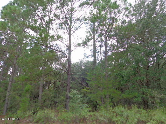 Compass Lake In The Hills - Land