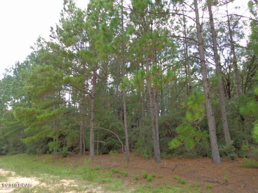 Nice wooded level lot in Compass Lake in the Hills Subdivision.  Short drive to main club house. All homeowners amenities include access to inground swimming pool, tennis courts, boat & cabin rentals, access to Compass Lake, plus plenty activities & gatherings. Adjoining lot 14 also available for purchase.