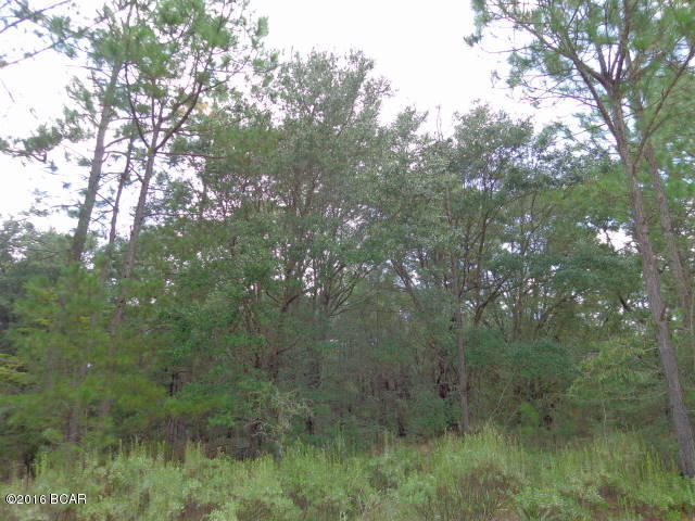 Compass Lake In The Hills - Land