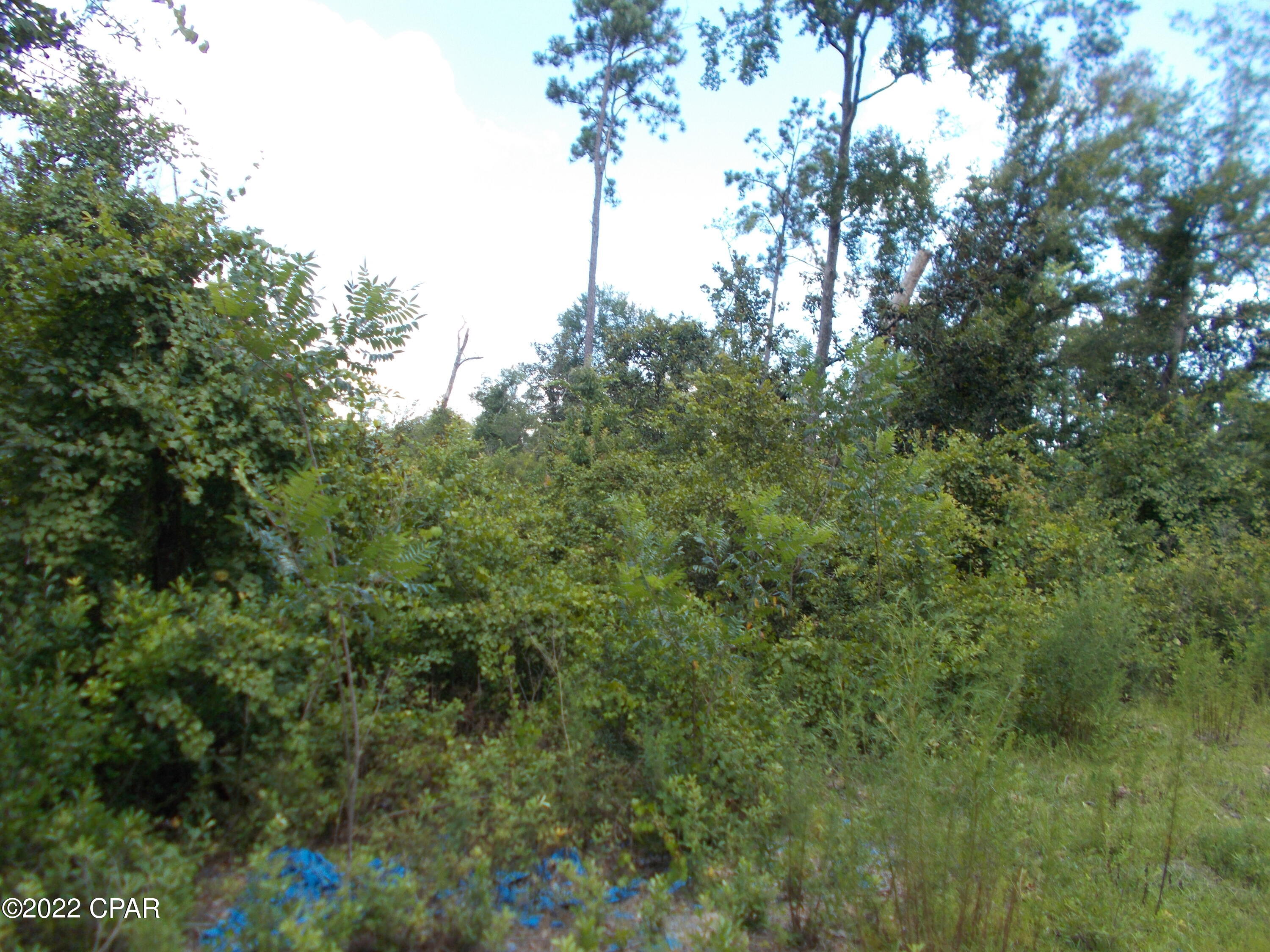 Compass Lake Hills Unit 6 - Land