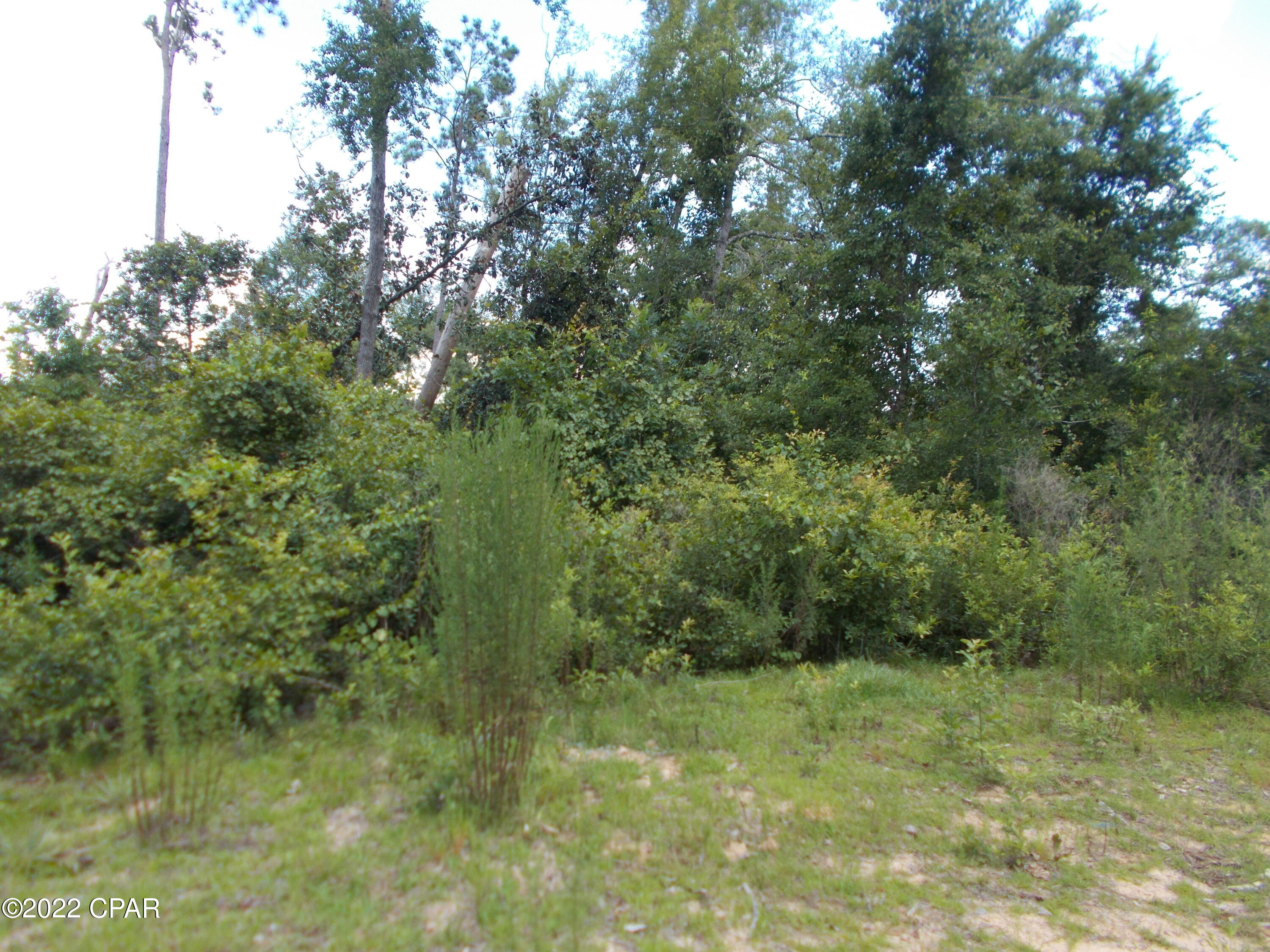 Compass Lake Hills Unit 6 - Land