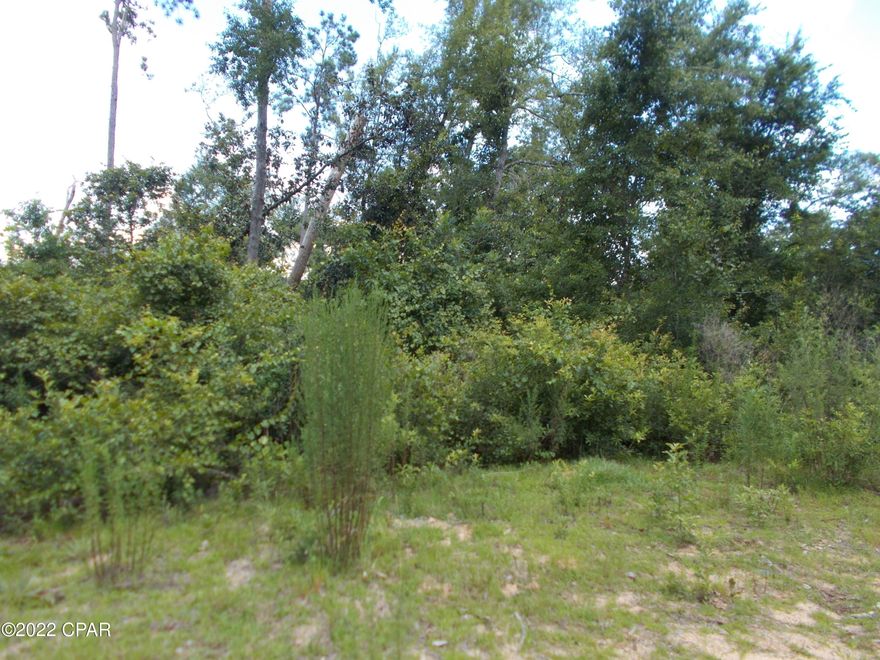 NO RESTRICTIONS, bring your Mobile home, stay in your RV or build your dream home, this private lot is very quiet and still not far from town, on a county road in the cul-de-sac no traffic no noise, 

There is a voluntary 135. annual fee if you are part of the Compass Lake Hills subdivision and use the amenities. Drive by  the lot today.