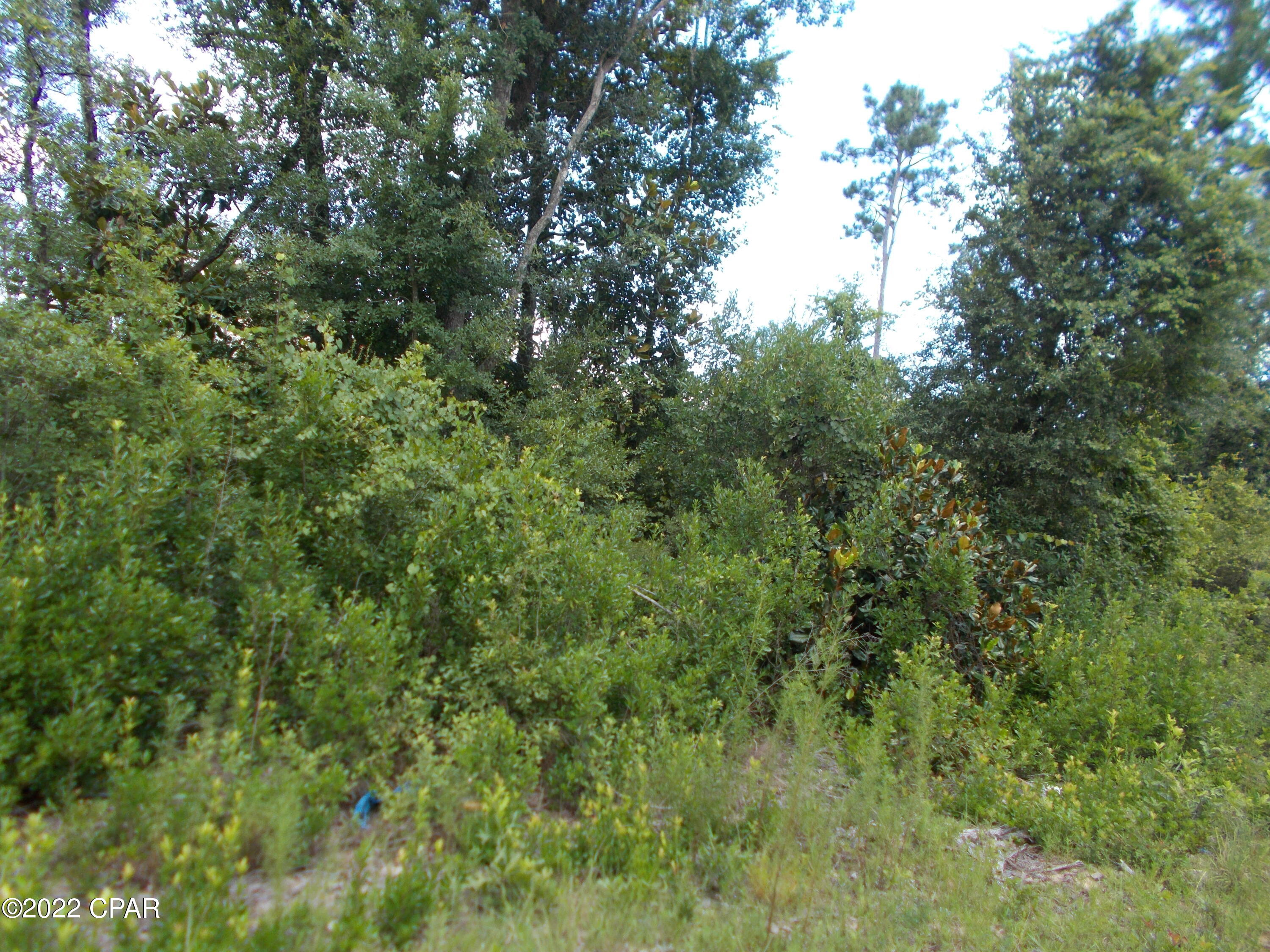 Compass Lake Hills Unit 6 - Land