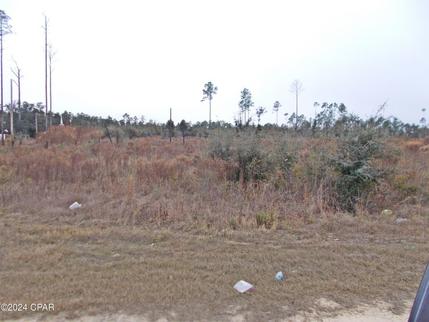 OWNER FINANCING... NO RESTRICTIONS...corner lot, this very nice, cleared parcel on a paved road, nice level land no wet areas as I see, bring your, mobile home farm animals or whatever you want, there is a total of 13 ac the seller will sell all or part of it, how much do you want? The property has been surveyed as a whole but will be re surveyed as parcels are sold.