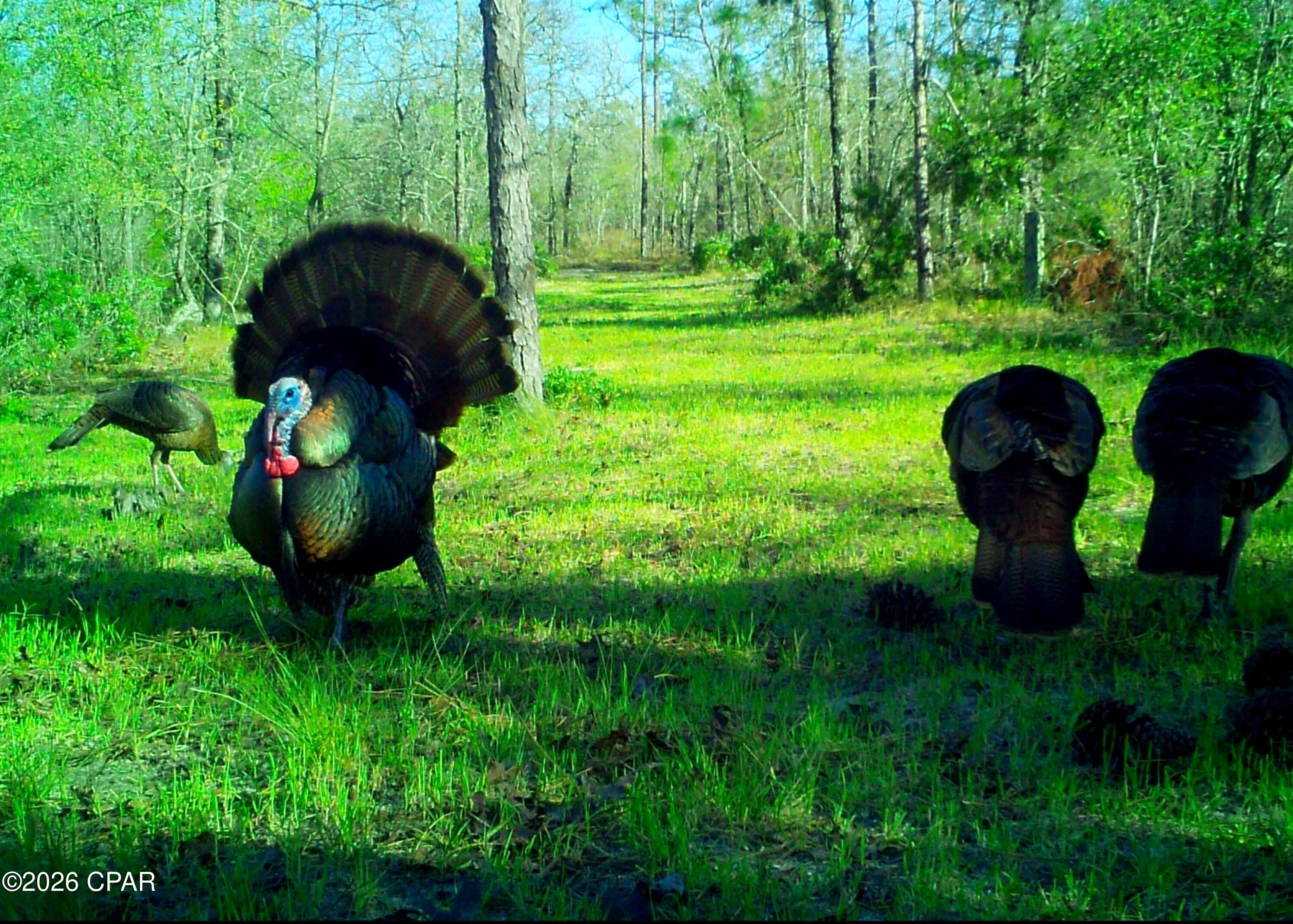 [No Recorded Subdiv] - Land