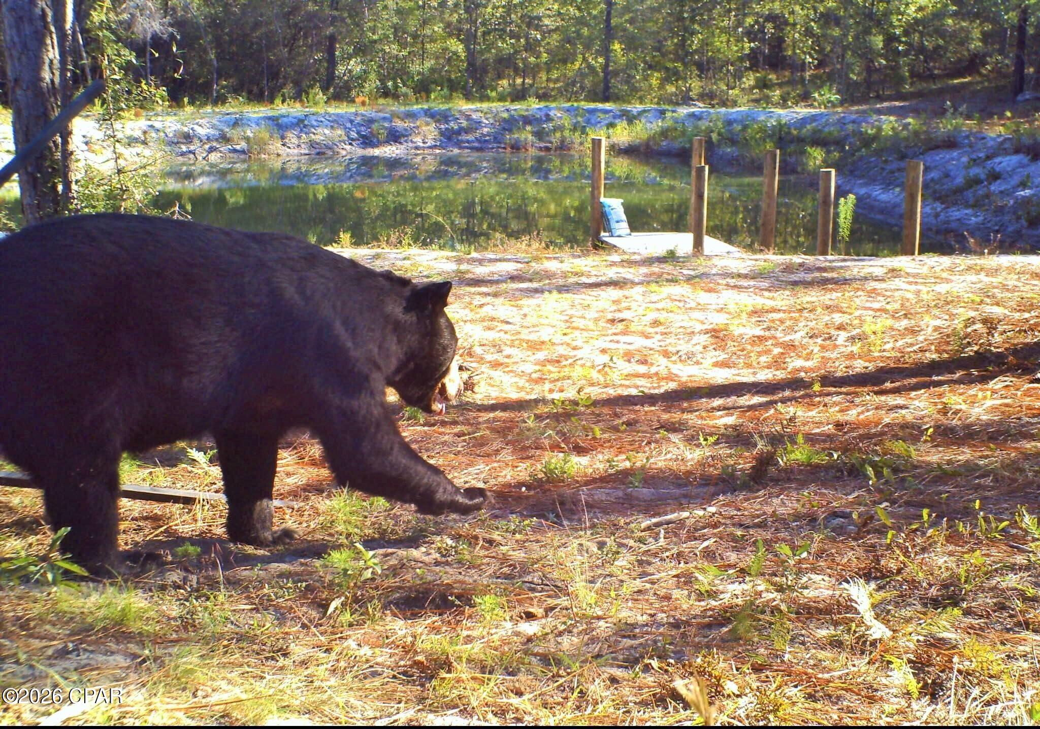 [No Recorded Subdiv] - Land