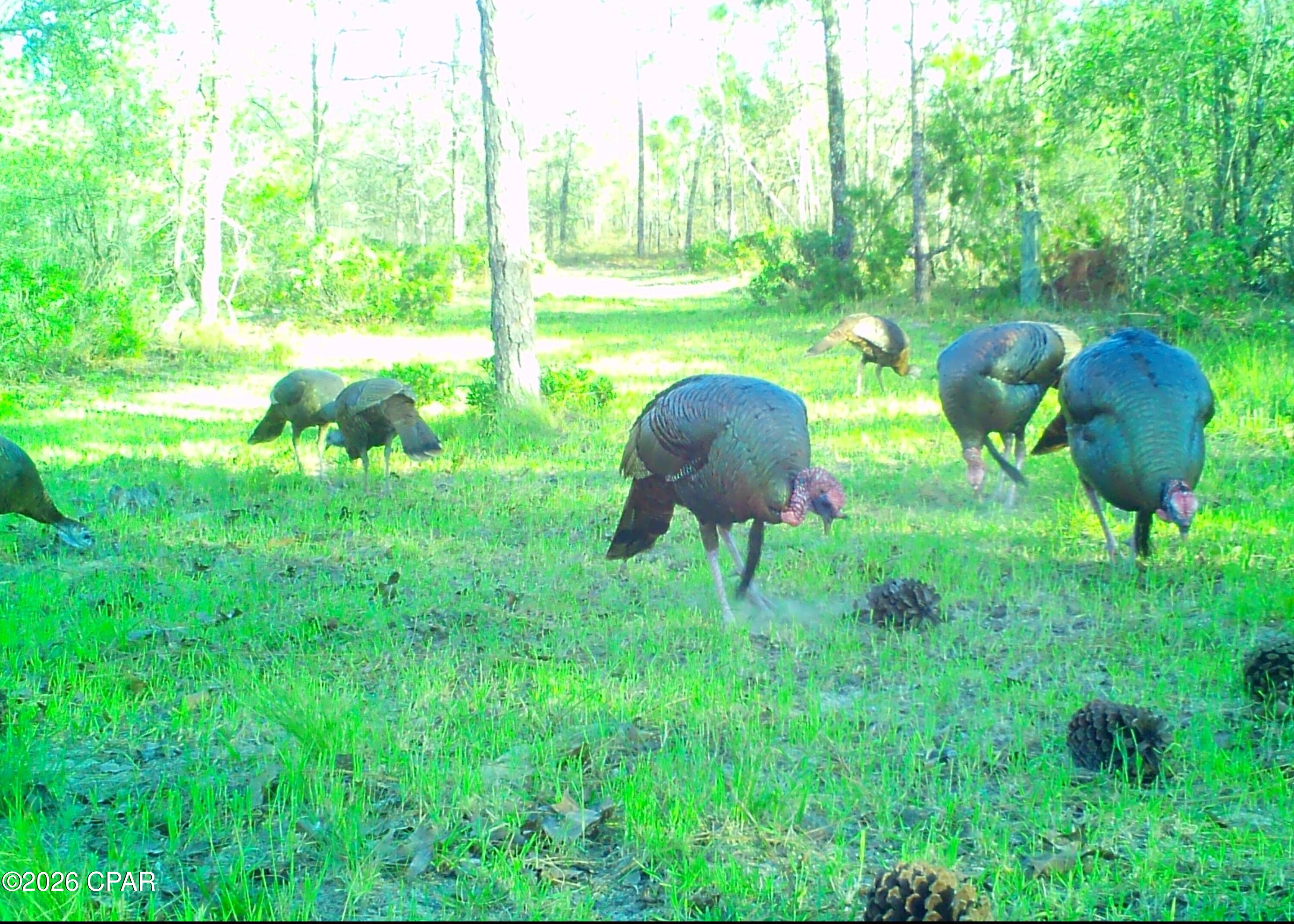 [No Recorded Subdiv] - Land