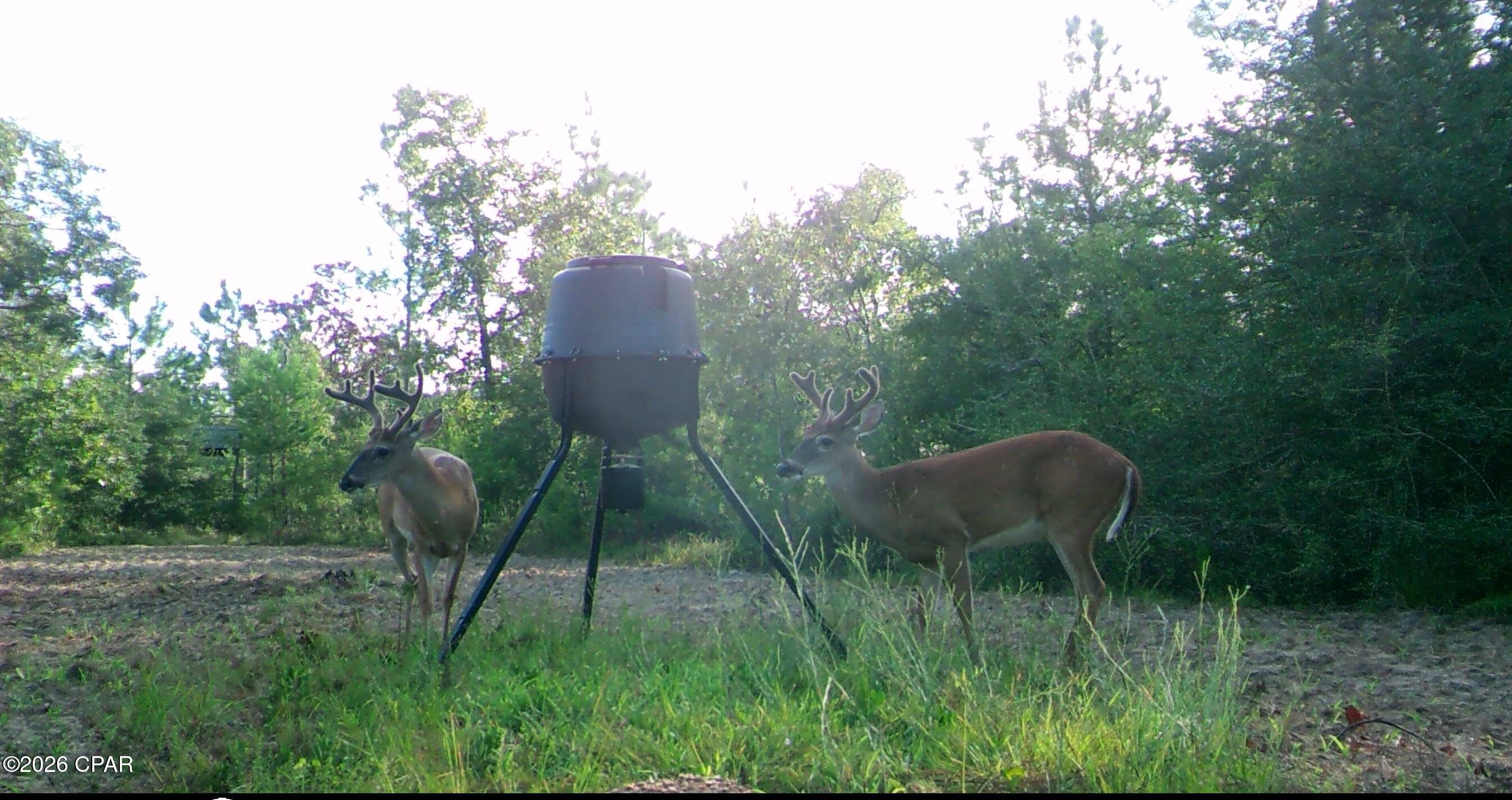 [No Recorded Subdiv] - Land