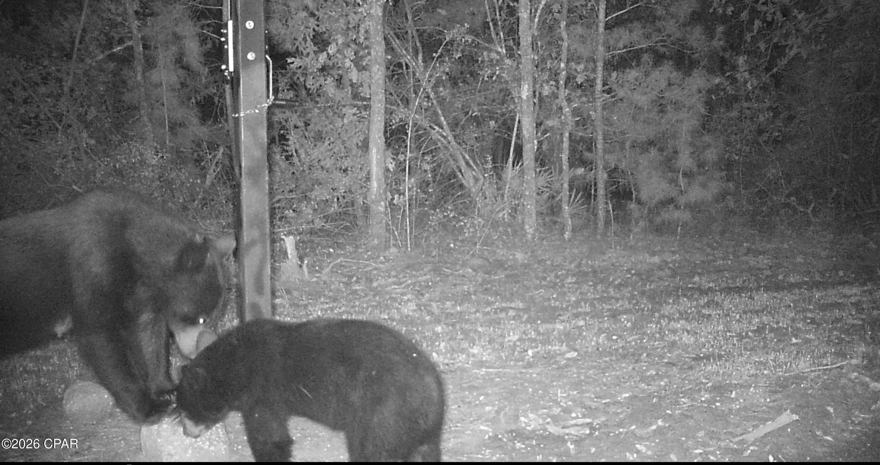 [No Recorded Subdiv] - Land