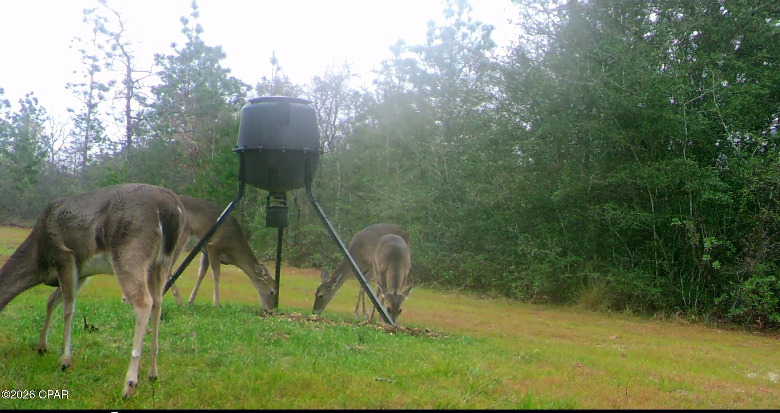 [No Recorded Subdiv] - Land