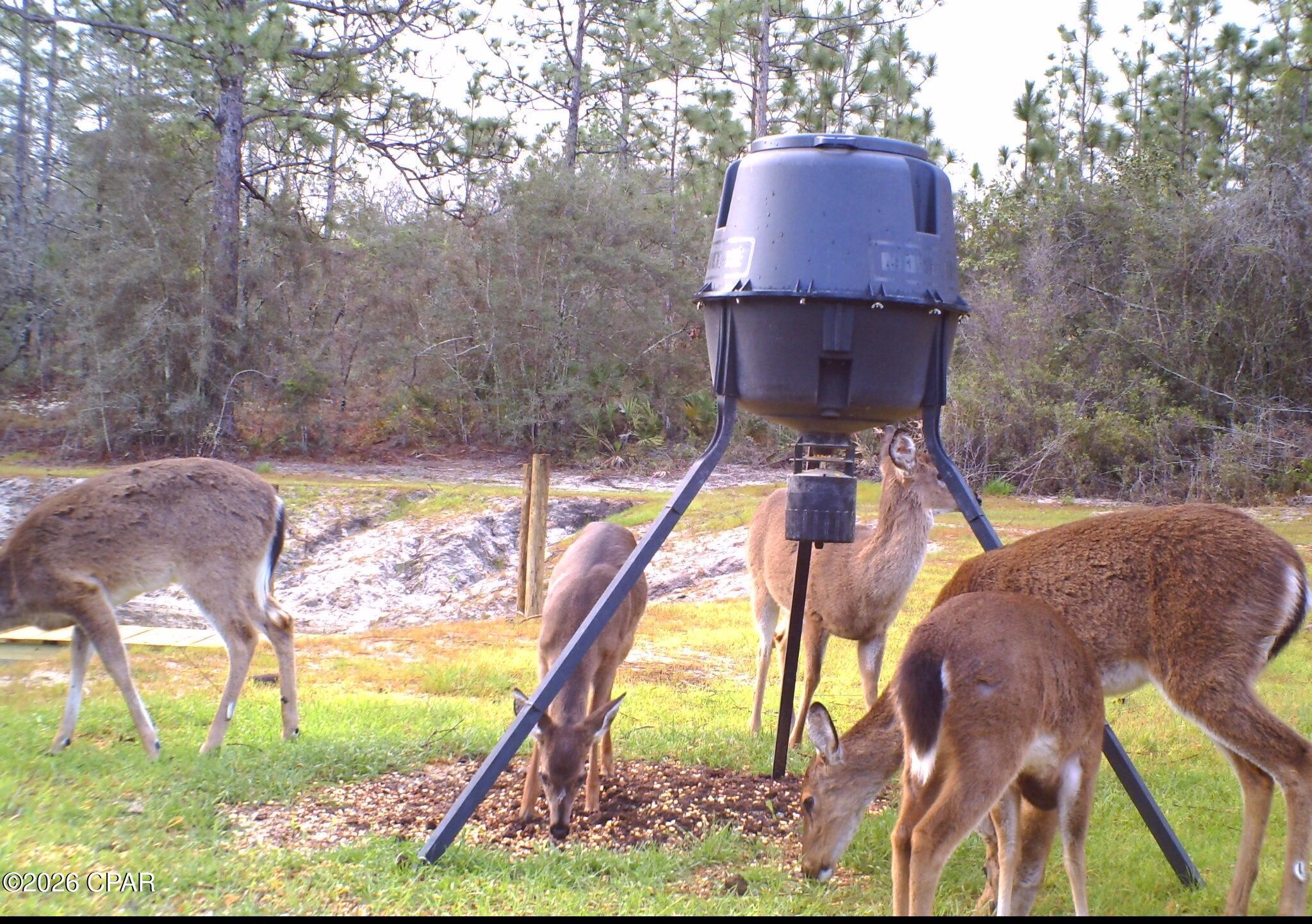 [No Recorded Subdiv] - Land