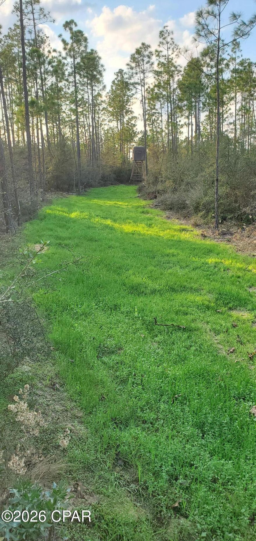 80± acres of private North Bay County timberland currently classified as timberland by the Bay County Property Appraiser. The property features mature timber, abundant wildlife habitat, established food plots, multiple deer stand, and several bear poles throughout the acreage. Improvements include a pole barn, additional storage building, and a manual well pump suitable for equipment or recreational use. A pond with a dock offers fishing and recreational opportunities. Road frontage on Elkcam Blvd provides access while maintaining a secluded, rural setting. Ideal for hunting, agricultural use, recreational retreat, or long-term investment. Property is being sold as Vacant Land. No assigned street address; see survey and parcel map for exact boundaries. 

Parcel ID: 03007-000-000; 03013-000-000; 03016-000-000 is all officially in Southport, Bay County, and is located near the Chipley area.

Additional information and property/game camera photos available upon request. Buyer to verify zoning, utilities, access, and intended use.

More photos to be added shortly...