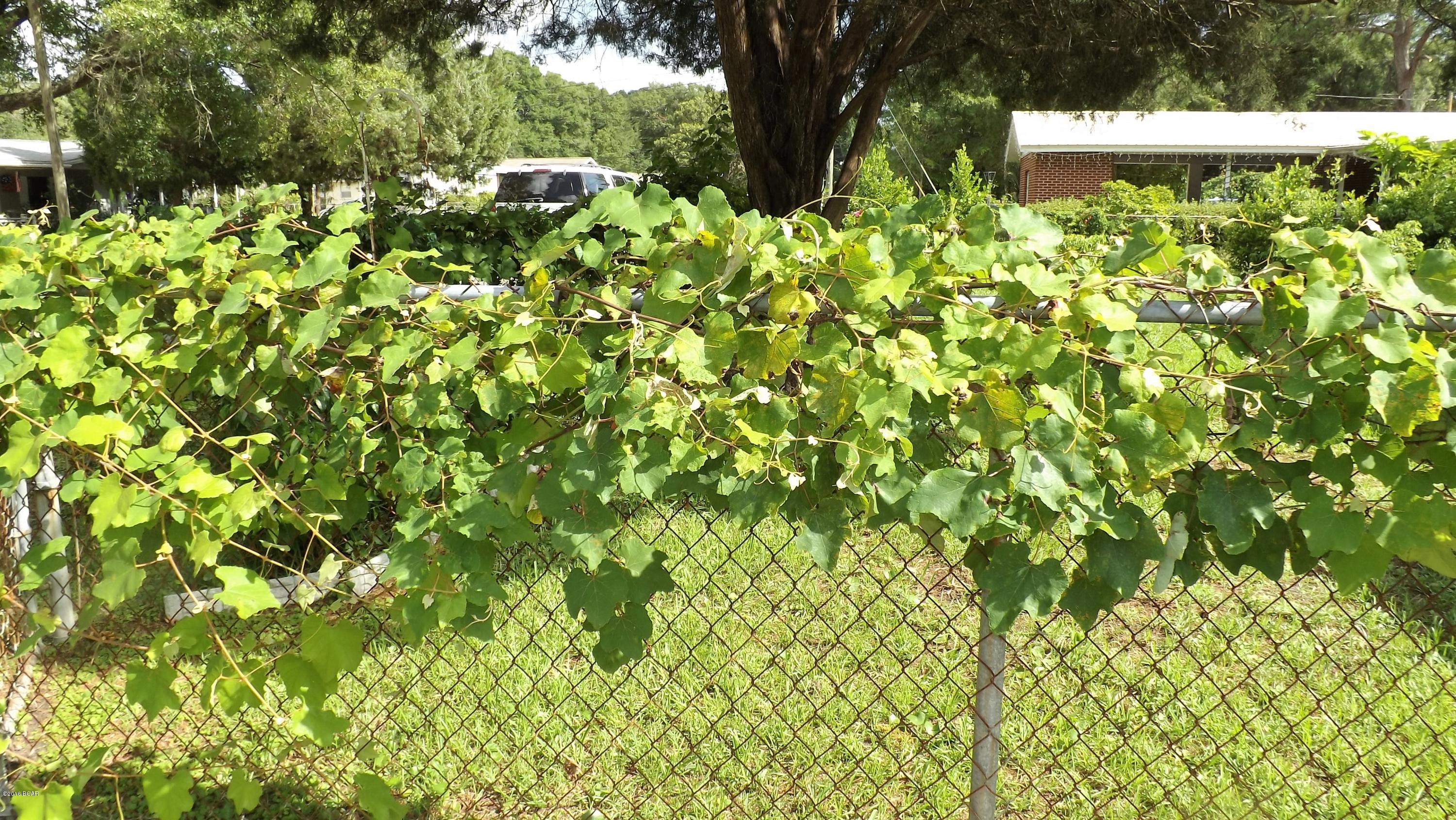 Lake Drive Heights - Residential