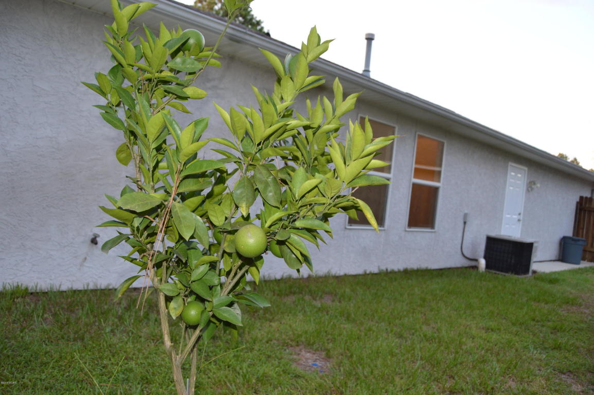 Pinetree Place - Residential