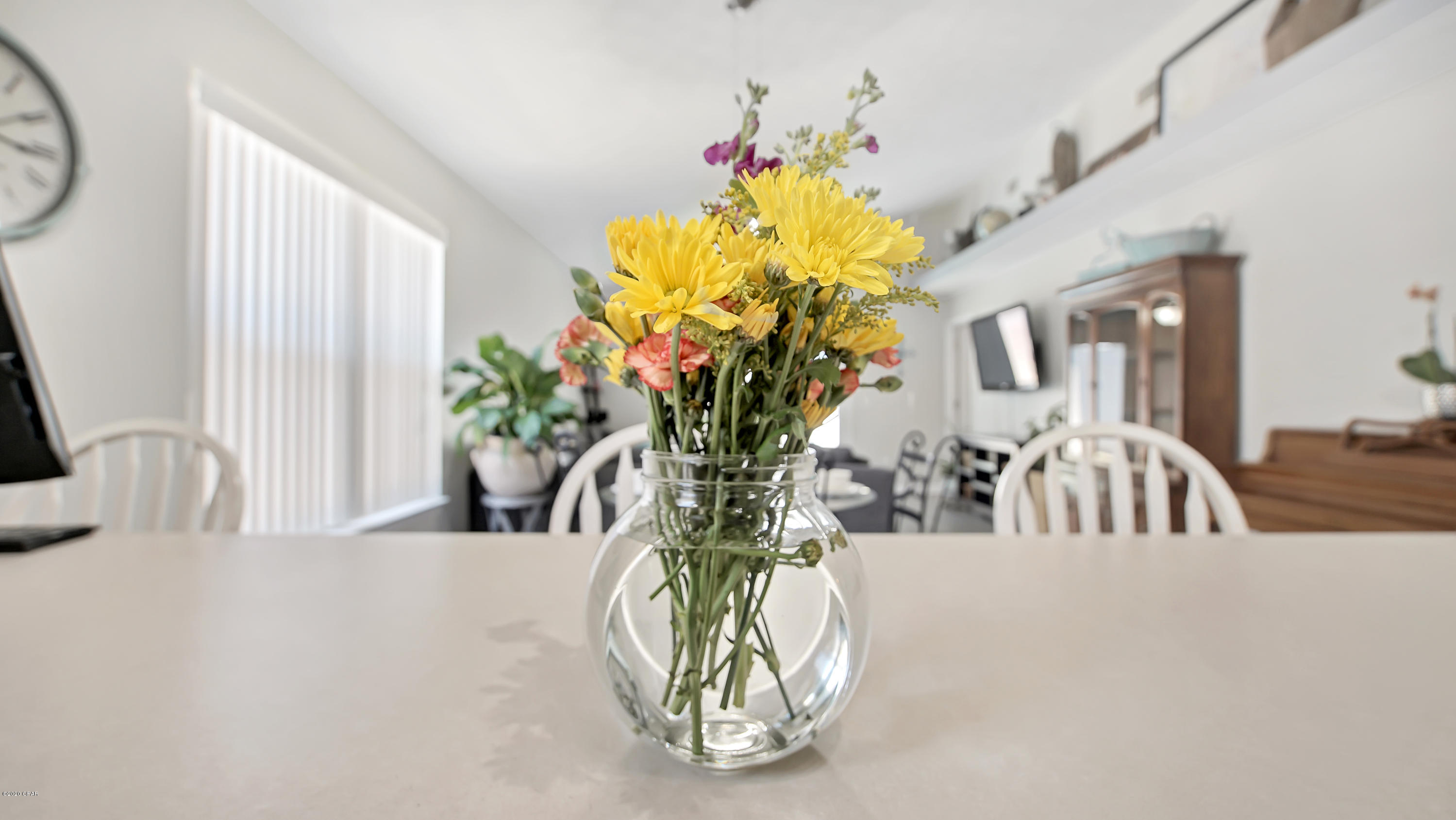 Palm Cove - Residential