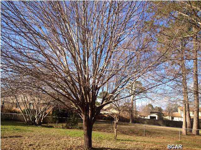 Bingoose Estates U-1 - Residential