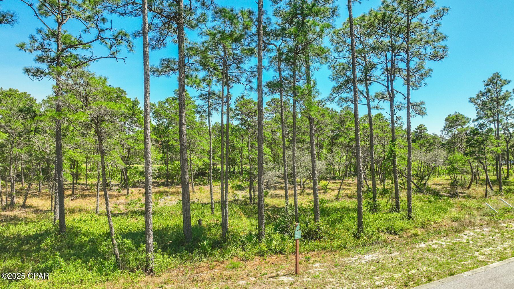 Wild Heron Phase I - Land