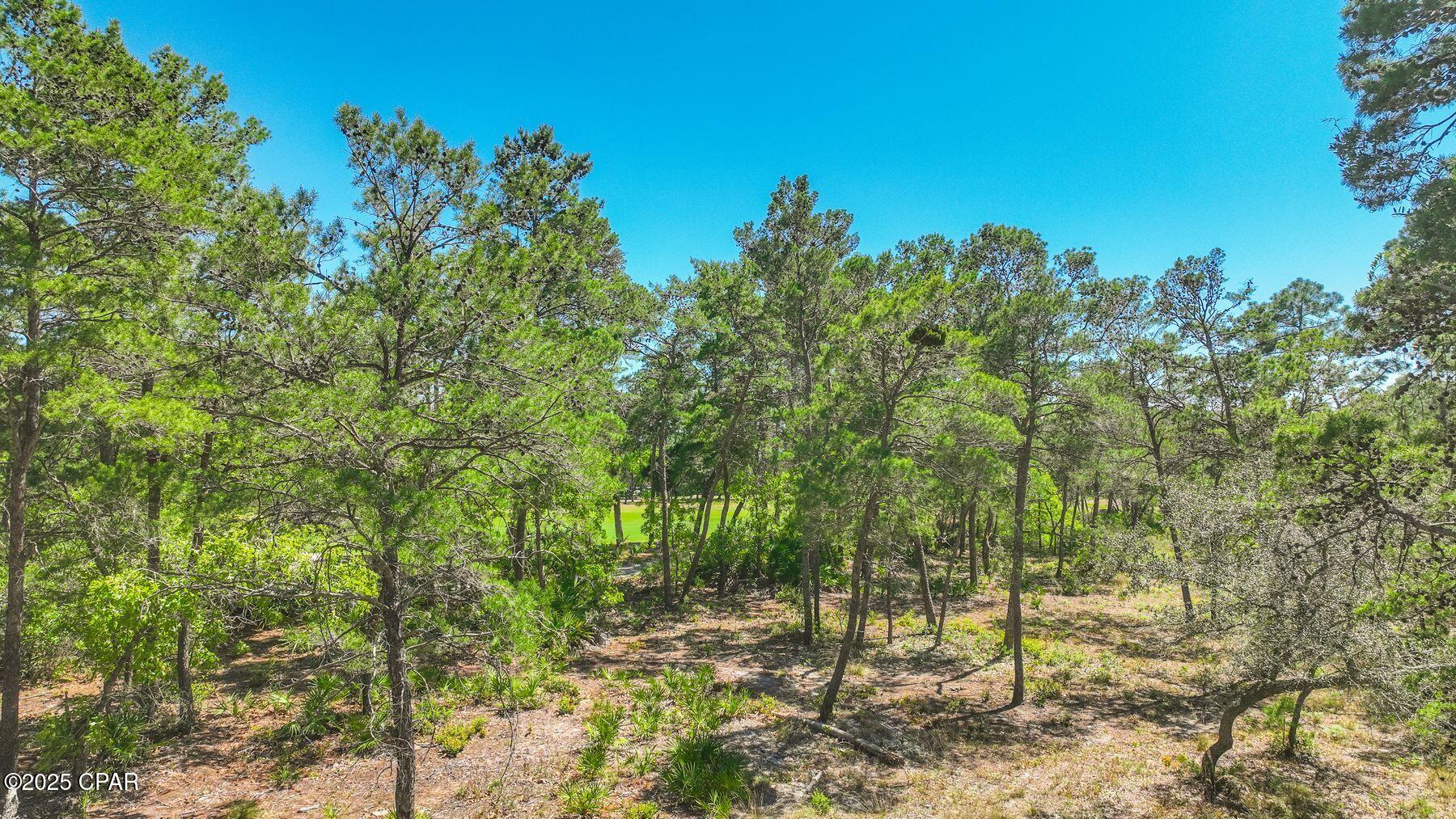 Wild Heron Phase I - Land