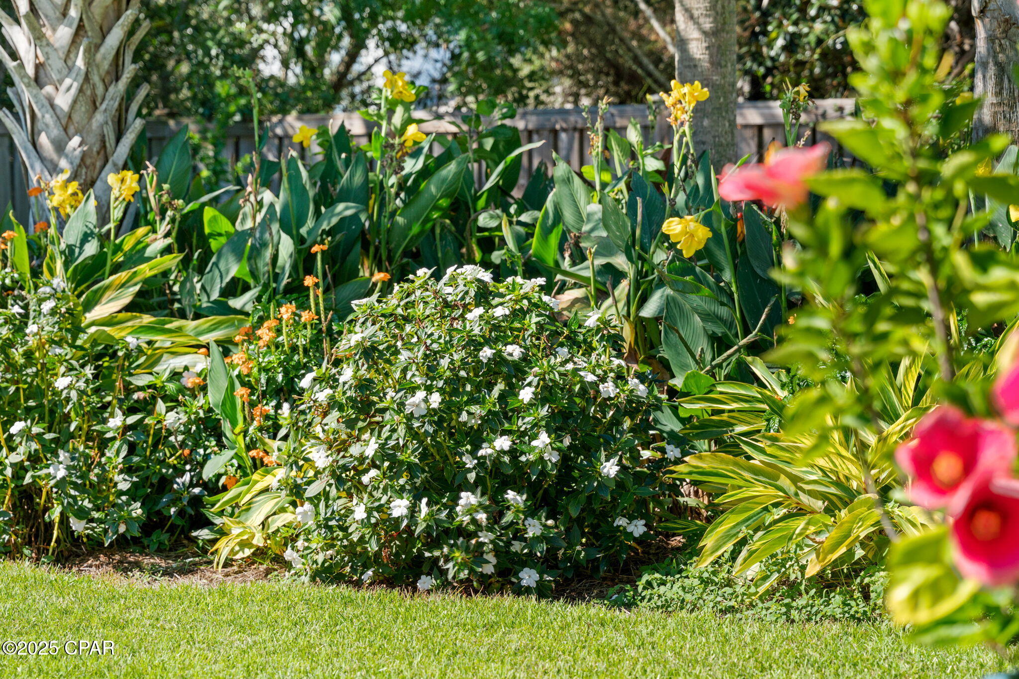 Blue Mountain Beach - Residential