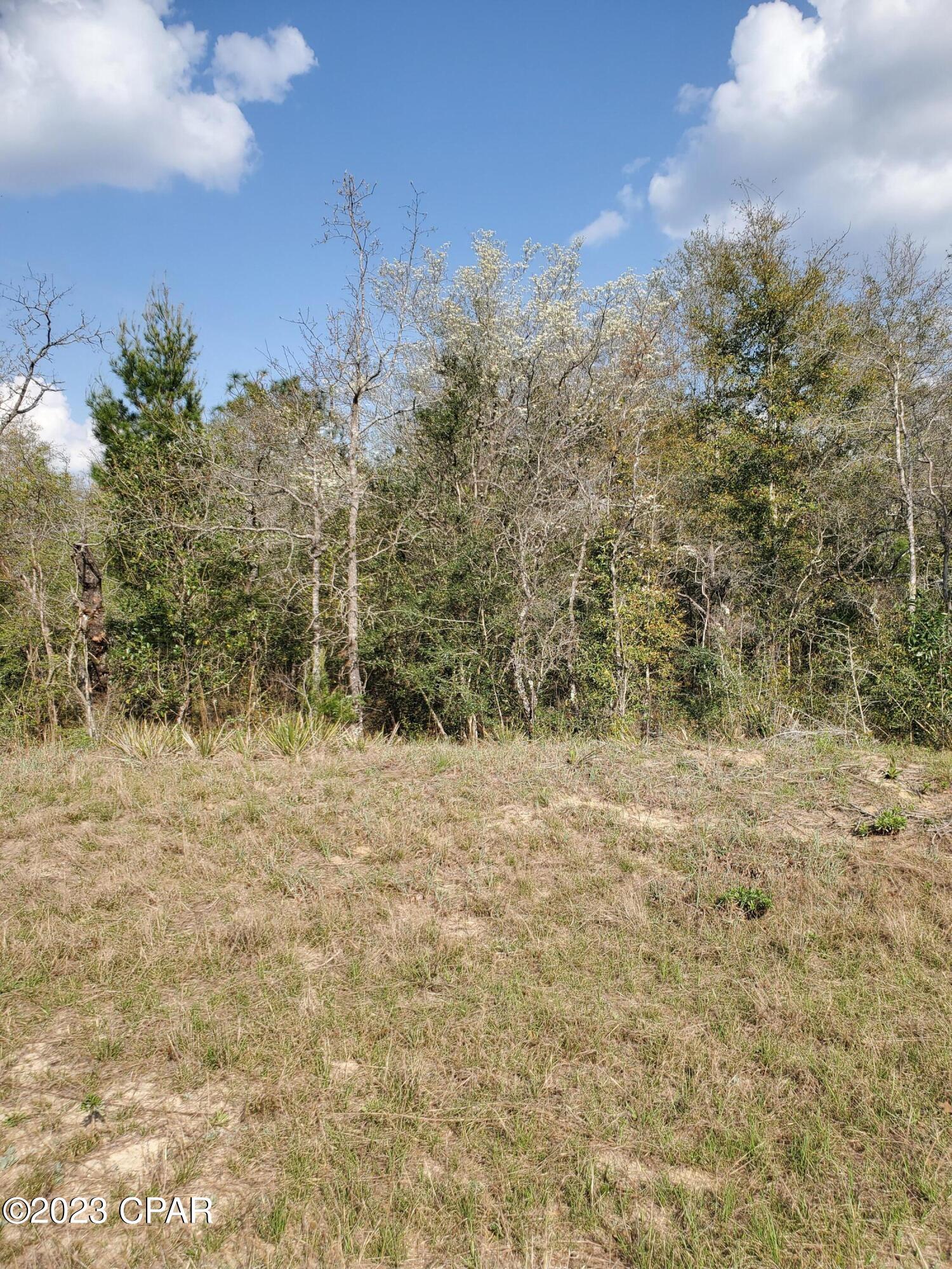 Sunny Hills Unit 9 - Land