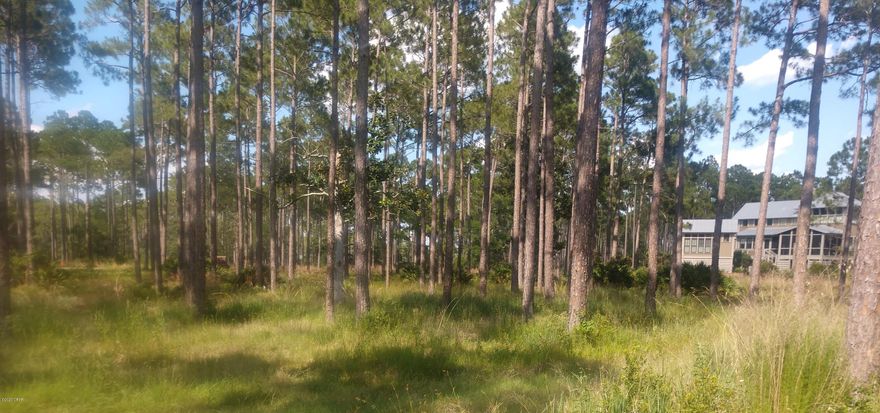 This nearly one acre Lot is located in the heart of RiverCamps, a 1500 acre gated oasis that will have less than 450 homes when completed. RiverCamps is situated on Crooked Creek, West Bay and the Intra-Coastal. Owners enjoy a community boat ramp, dry-boat storage, dayuse boat slips, heated, waterfront, zero-entry pool, fitness center, library, use of kayaks, paddleboards, canoes and bicycles.

RiverCamps is a gated community. You must be accompanied by a Realtor.

*Call listing agent, Kammy Landavazo, 850-332-4567 for a tour