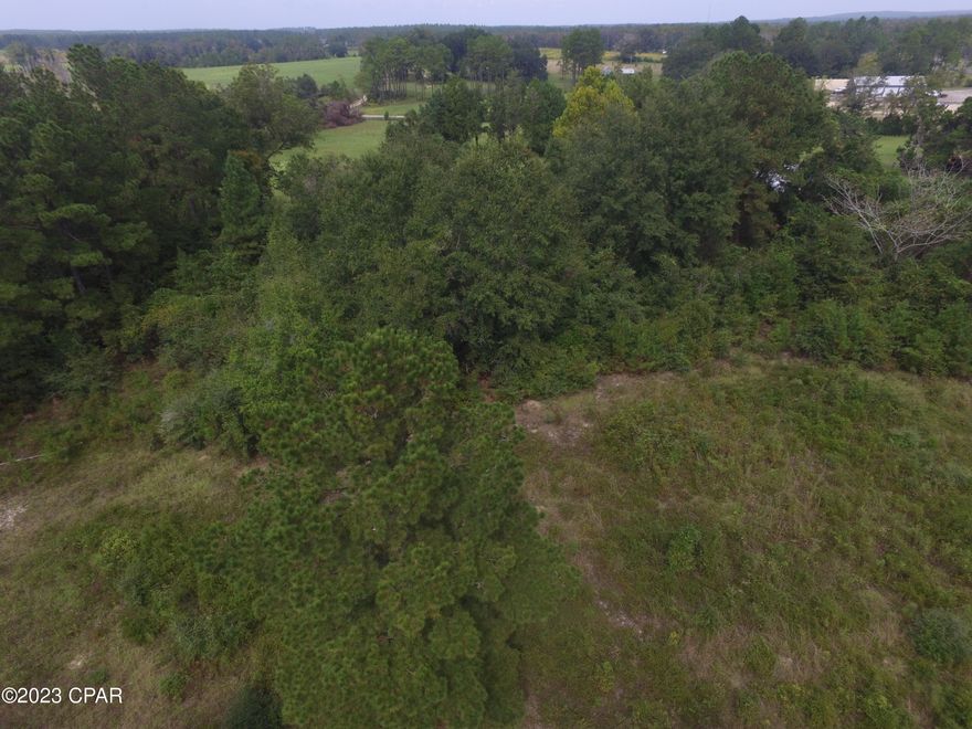 If you are looking for the perfect location in a small subdivision this is it.  Located just off of Hwy 77 South of Chipley.  It is approximately five miles from I-10 and about 30-40 minutes to Panama City.  There are deed restriction which prohibit manufactured and modular homes.  Under ground utilities, paved roaded and multiple lots are available. Photos in the listing are from multiple lots that are available.