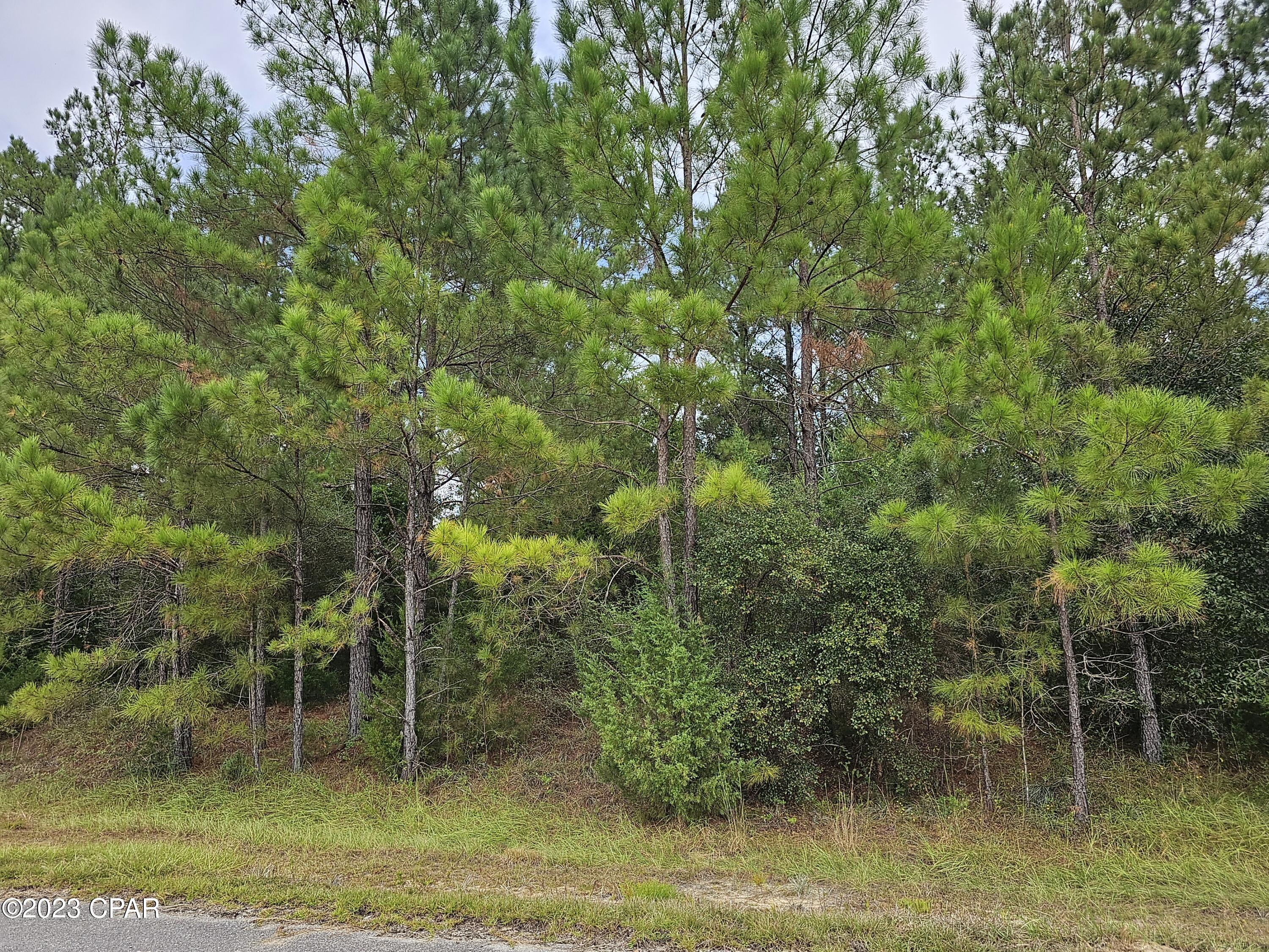 Kiersten Heights - Land