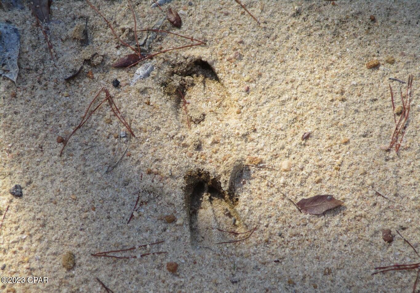 Leisure Lakes - Land