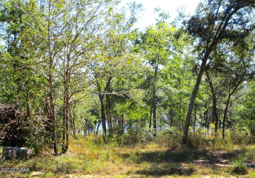 Got building plans? Some of the heavy lifting has been done for you on this cleared 2.6 acre lot with a recently installed well and house pad in the gated community of Leisure Lakes in Washington County Florida with views of Lake Denise! Leisure Lakes property owners enjoy a community pool, basketball court, tennis court, playground, community center, an equestrian trail, and two beautiful, clear, spring fed lakes lakes with boat ramps for kayaking, fishing or swimming. Manufactured homes are permitted.