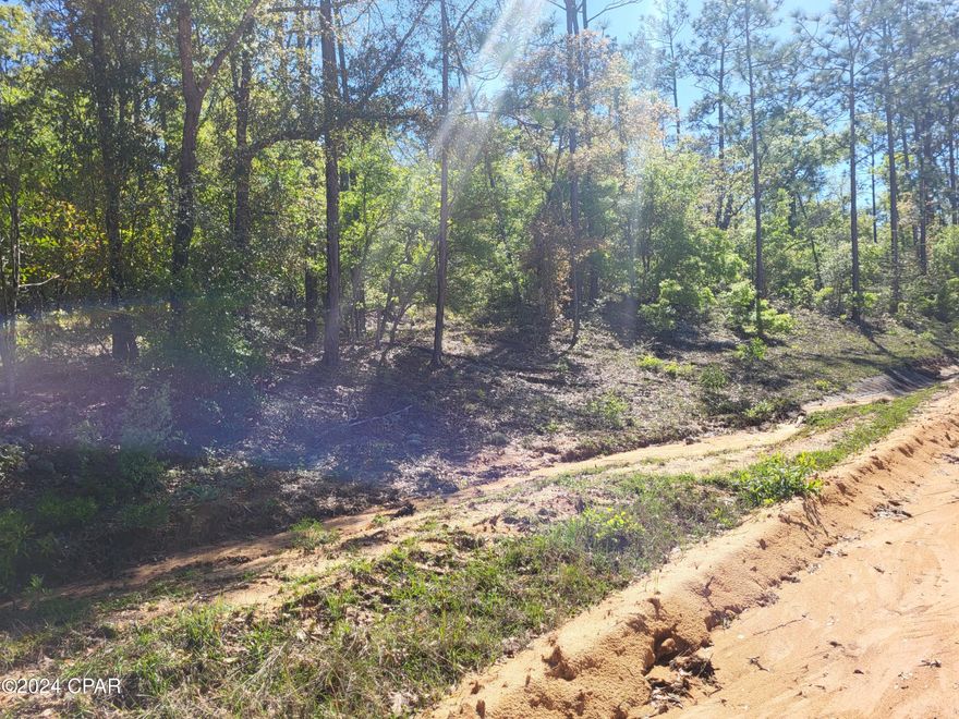 Nice one acre lot for your future home!  Manufacture Homes, and Custom Homes allowed!  NO HOA.  There is an Optional POA (Property Owners Association) that will give you a few extra amenities.  This is a Great Price for an investment into land for your future.