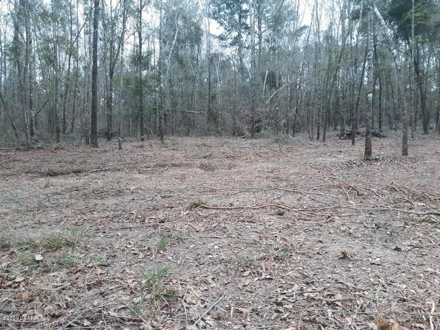 Five Acres has had A new drive installed and land clearing already done for the new owner. Come see it today HIGH and DRY. 

More work can be done for Additional Money.  A great place to have your toys that you don't use all the time.  You can have a pole barn for coverage if you desire. Keep animals hear and get the 10 acres for your new home 

 

There is an Additional 10 acres  for sale also.  Ready to build on .