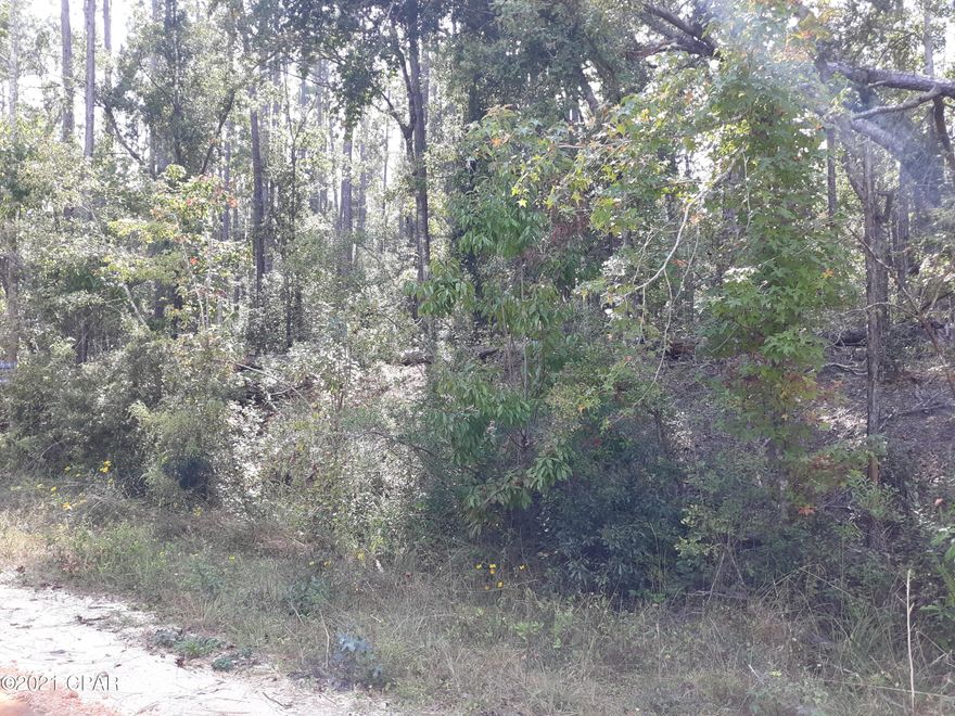 Nice level wooded lot, excellent for building a home.