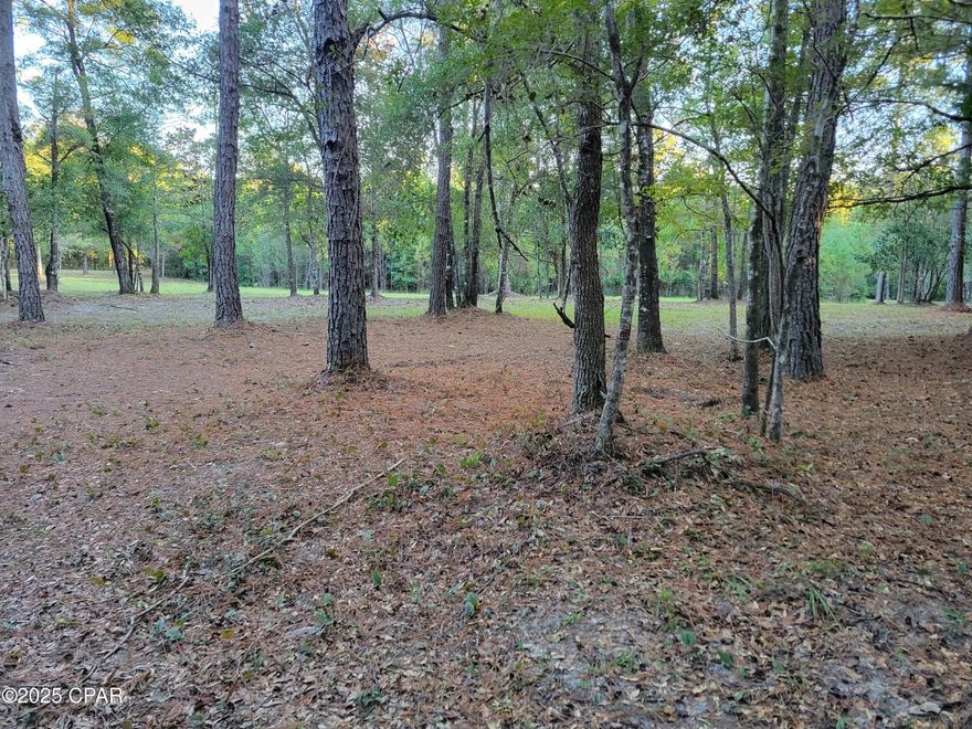 Escape to 40 acres of peaceful countryside in beautiful Ponce de Leon, Florida—the perfect retreat for outdoor enthusiasts and nature lovers. This property offers prime deer, turkey, and duck hunting, as well as excellent fishing in Bruce Creek.

With plenty of open space for horseback riding, boarding, or creating your own hobby farm, the possibilities are endless. Imagine planting your own fruit orchard or large garden, surrounded by the quiet beauty of Northwest Florida. Whether you're dreaming of a rustic cabin getaway or planning your forever home, this property offers the privacy, recreation, and natural beauty you've been looking for.