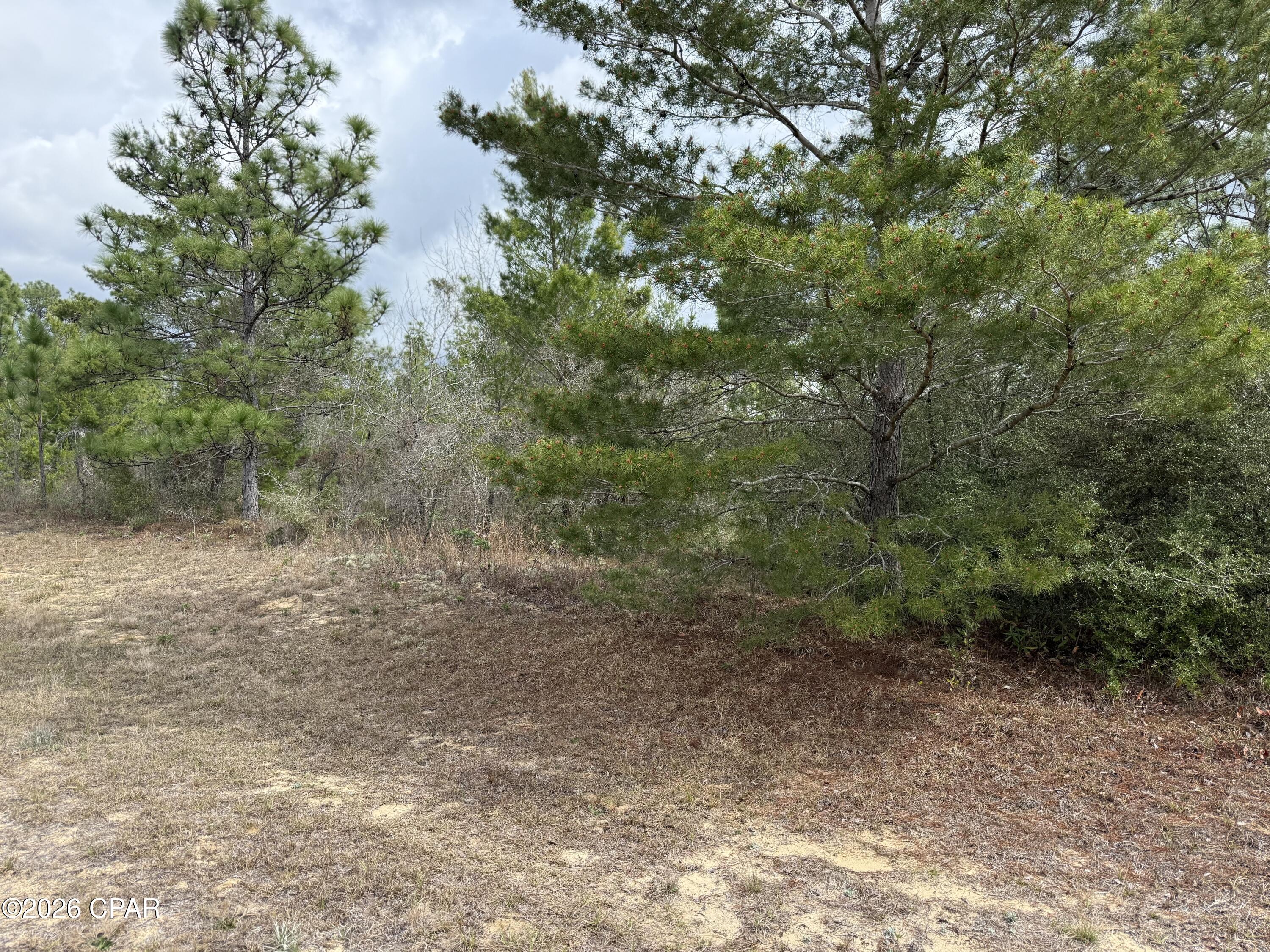 Sunny Hills Unit 2 - Land