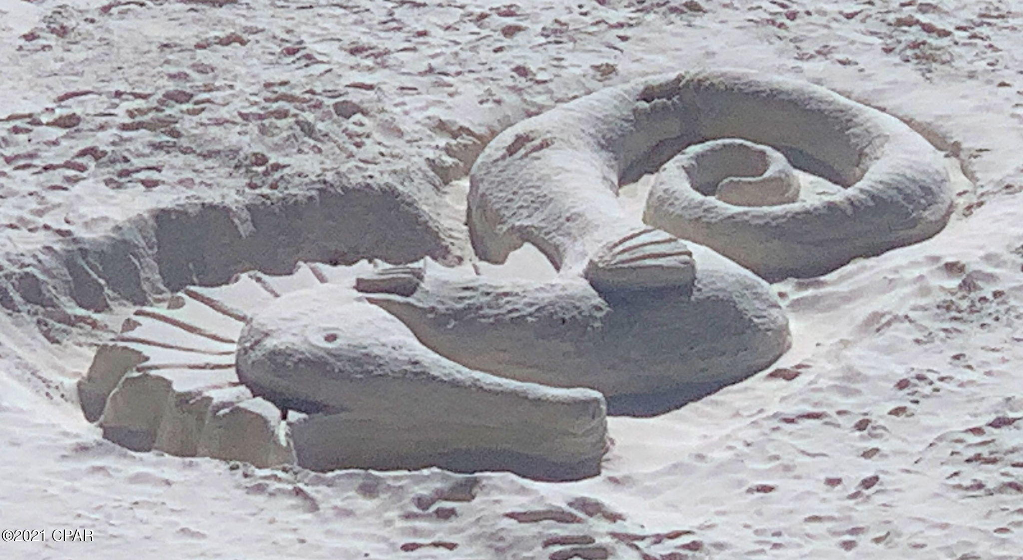 Treasure Island Resort - Residential