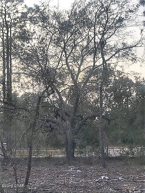 Leisure Lakes - Land