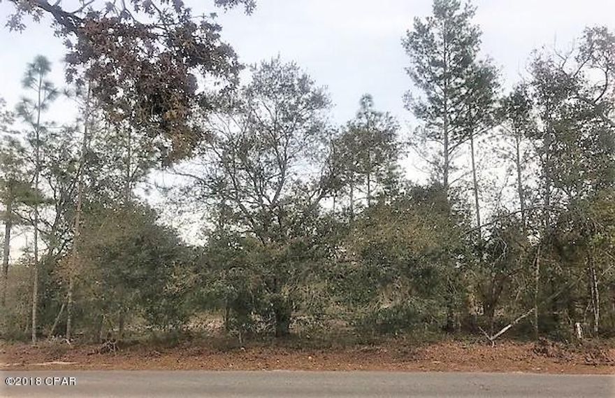 Desirable partially cleared lot in a gated community would be a great place to build your new home!  Property is located within minutes of the Northwest Florida International Airport, the beaches and shopping.  Leisure Lakes living includes paved roads, access to spring fed lakes, tennis and basketball courts, picnic area/pavillion, horse riding trail and a community swimming pool.