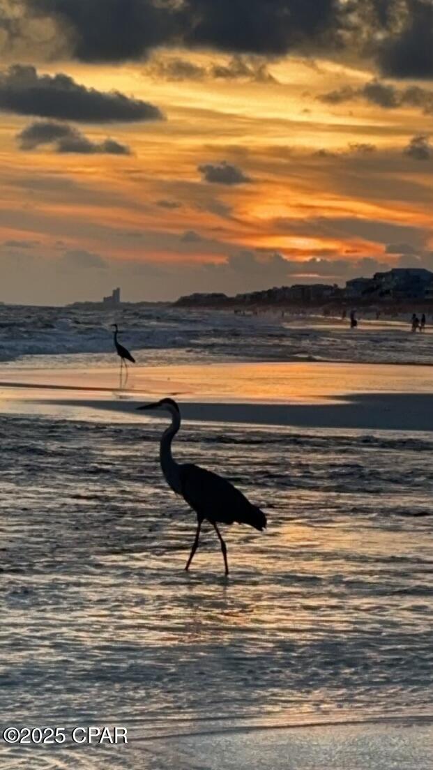 Pinnacle Port Condo - Residential