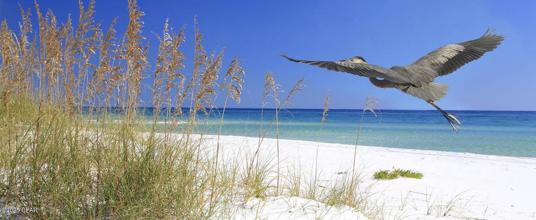 Pinnacle Port Condo - Residential