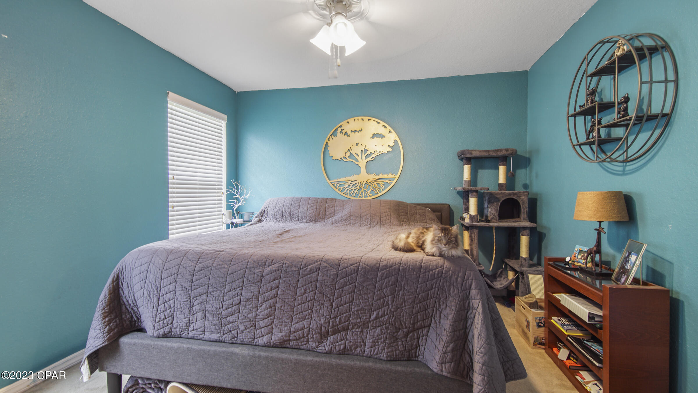 Palmetto Trace - Residential